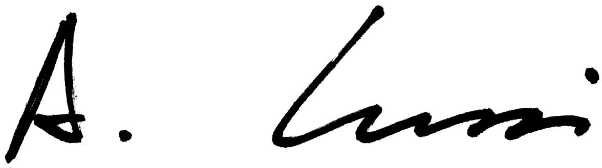 lussi signature